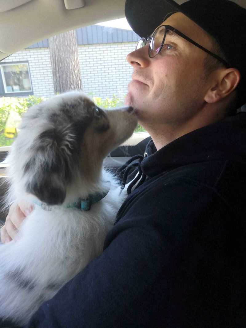 Picture of my dog right after we picked him up